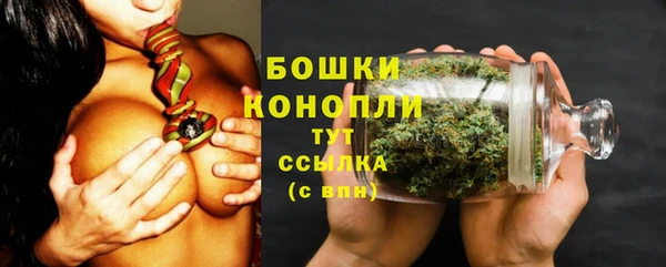гидропоника Богородск