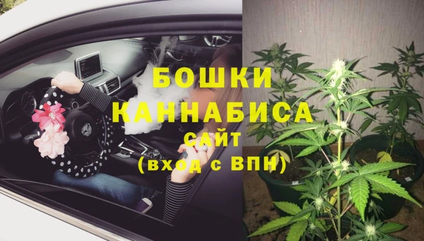 ГАЛЛЮЦИНОГЕННЫЕ ГРИБЫ Богородицк