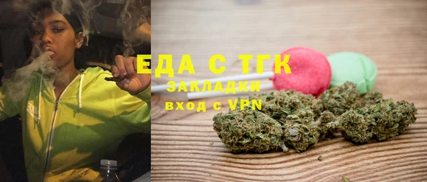 индика Протвино