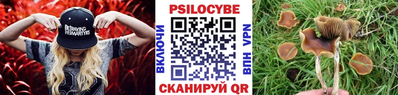 дарнет шоп Минеральные Воды Псилоцибиновые грибы Cubensis
